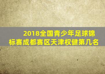 2018全国青少年足球锦标赛成都赛区天津权健第几名