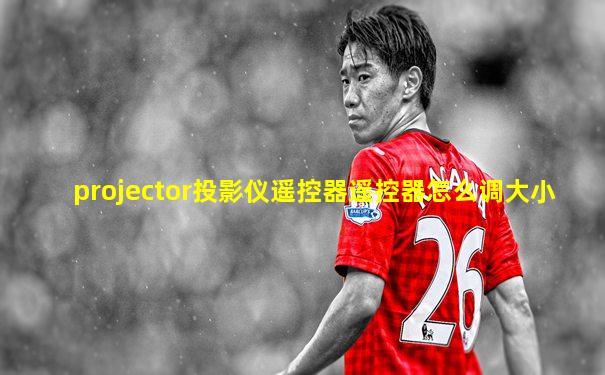 projector投影仪遥控器遥控器怎么调大小