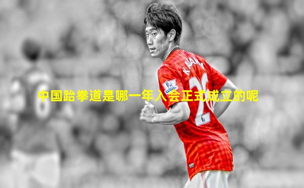 中国跆拳道是哪一年入会正式成立的呢