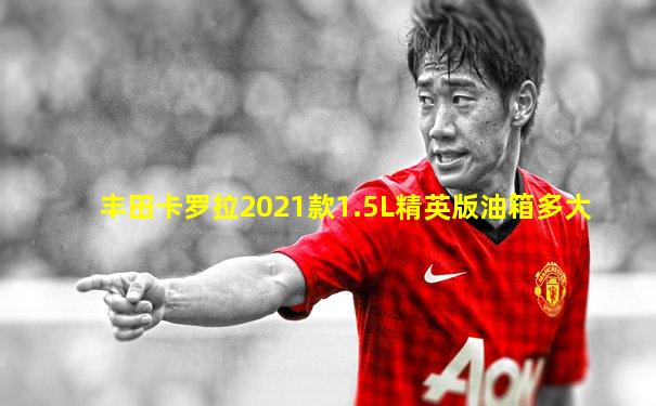 丰田卡罗拉2021款1.5L精英版油箱多大