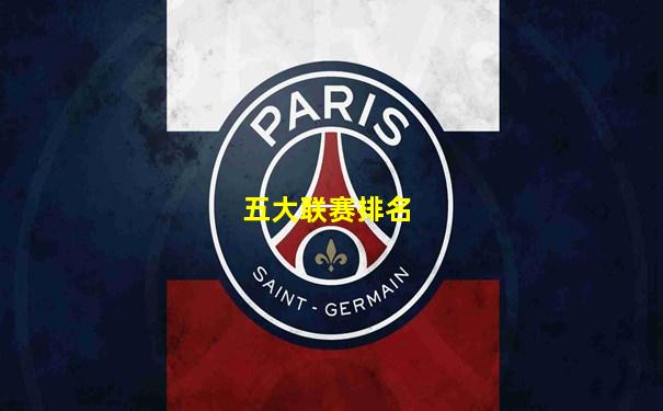 五大联赛排名