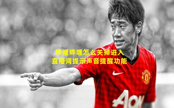 哔哩哔哩怎么关掉进入直播间提示声音提醒功能