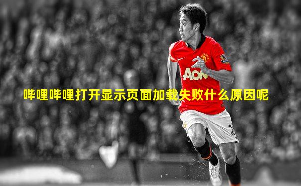 哔哩哔哩打开显示页面加载失败什么原因呢