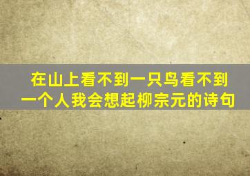 在山上看不到一只鸟看不到一个人我会想起柳宗元的诗句