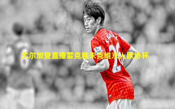 尤尔加登直播雷克雅未克维京人欧协杯