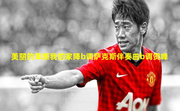 美丽的草原我的家降b调萨克斯伴奏曲b调贺峰