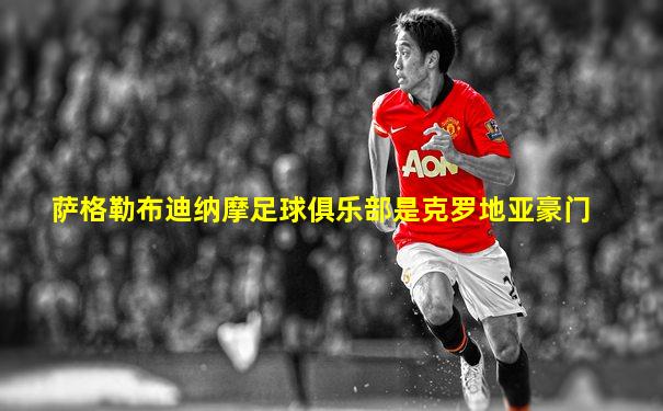萨格勒布迪纳摩足球俱乐部是克罗地亚豪门