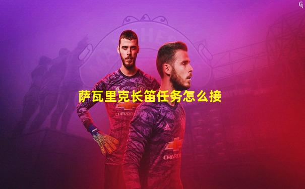 萨瓦里克长笛任务怎么接