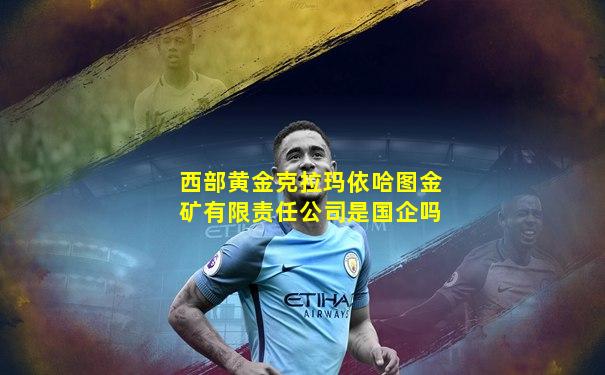 西部黄金克拉玛依哈图金矿有限责任公司是国企吗