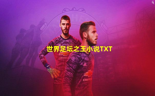 世界足坛之王小说TXT