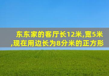 东东家的客厅长12米,宽5米,现在用边长为8分米的正方形