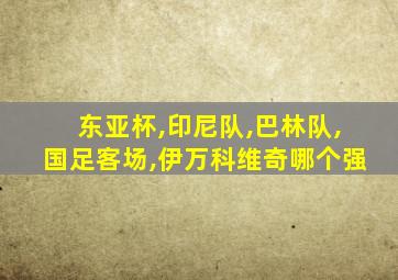 东亚杯,印尼队,巴林队,国足客场,伊万科维奇哪个强