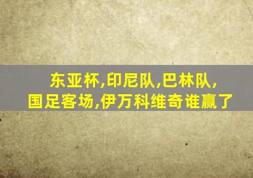东亚杯,印尼队,巴林队,国足客场,伊万科维奇谁赢了
