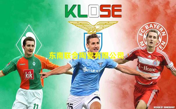 东南联合陶瓷有限公司