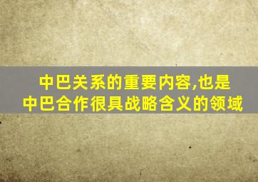 中巴关系的重要内容,也是中巴合作很具战略含义的领域