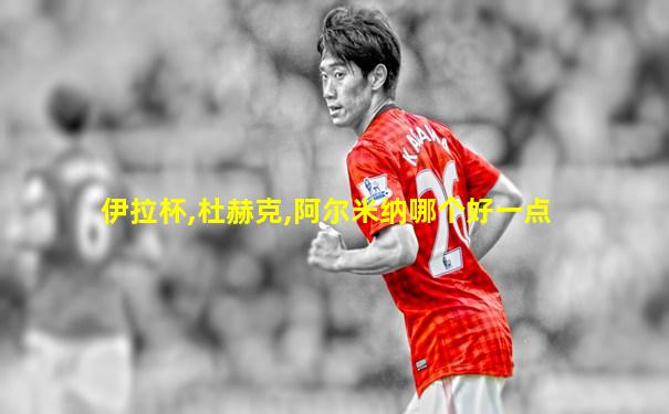 伊拉杯,杜赫克,阿尔米纳哪个好一点