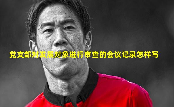 党支部对发展对象进行审查的会议记录怎样写