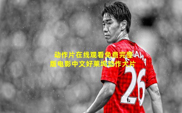 动作片在线观看免费完整版电影中文好莱坞动作大片