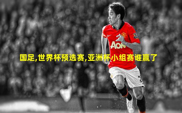 国足,世界杯预选赛,亚洲杯小组赛谁赢了