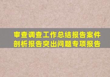 审查调查工作总结报告案件剖析报告突出问题专项报告