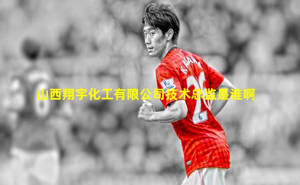 山西翔宇化工有限公司技术总监是谁啊