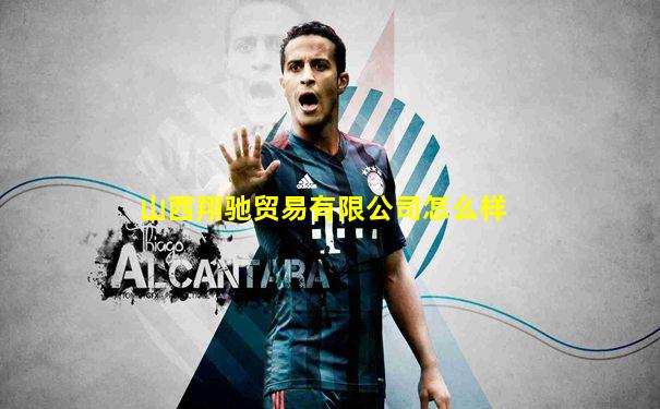 山西翔驰贸易有限公司怎么样