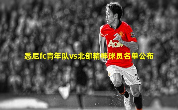 悉尼fc青年队vs北部精神球员名单公布