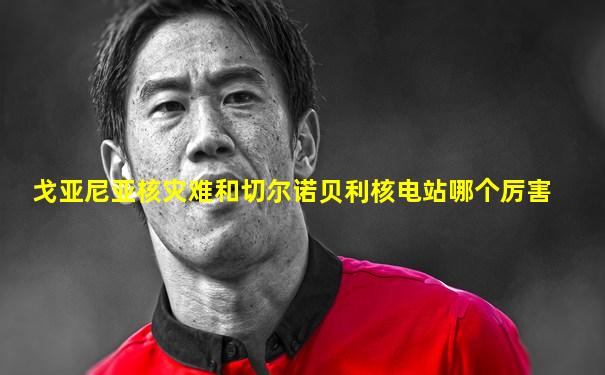 戈亚尼亚核灾难和切尔诺贝利核电站哪个厉害