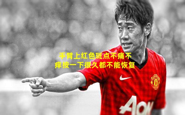 手臂上红色斑点不痛不痒按一下很久都不能恢复