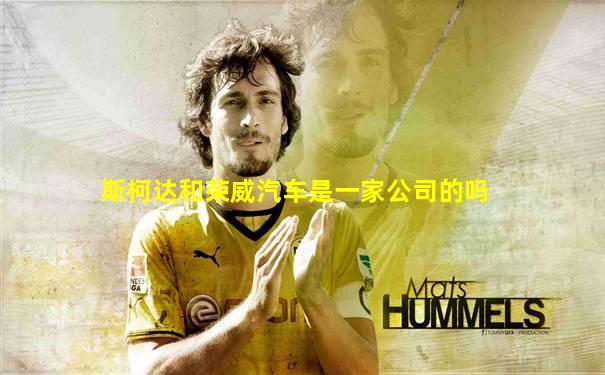 斯柯达和荣威汽车是一家公司的吗
