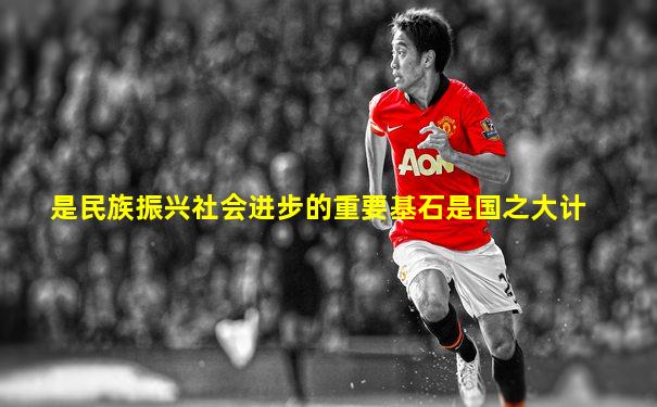 是民族振兴社会进步的重要基石是国之大计