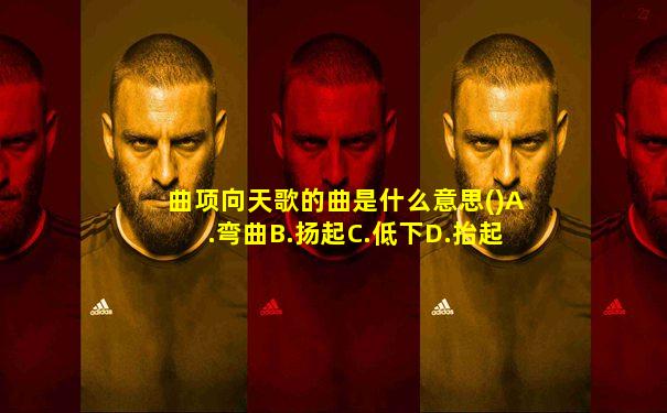曲项向天歌的曲是什么意思()A.弯曲B.扬起C.低下D.抬起