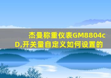 杰曼称重仪表GM8804cD,开关量自定义如何设置的