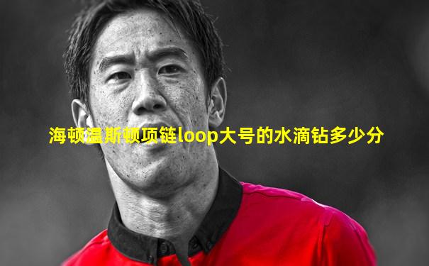 海顿温斯顿项链loop大号的水滴钻多少分