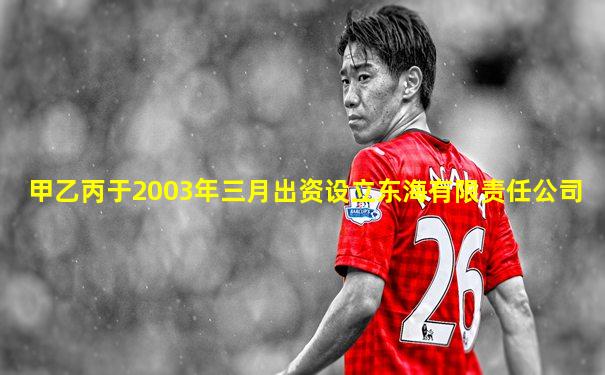甲乙丙于2003年三月出资设立东海有限责任公司