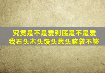 究竟是不是爱到底是不是爱我石头木头馒头葱头脑袋不够