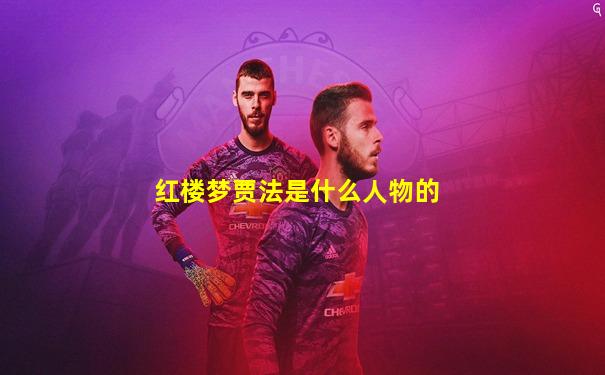 红楼梦贾法是什么人物的