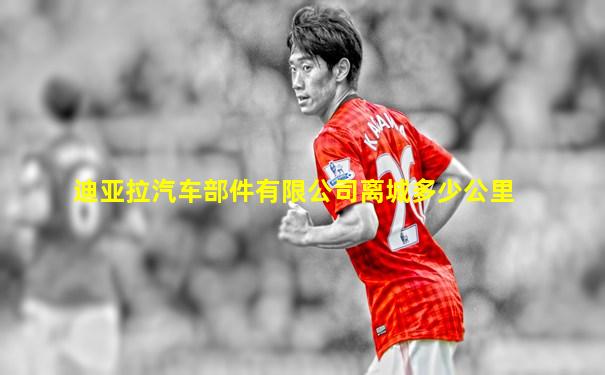 迪亚拉汽车部件有限公司离城多少公里