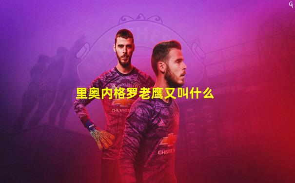 里奥内格罗老鹰又叫什么