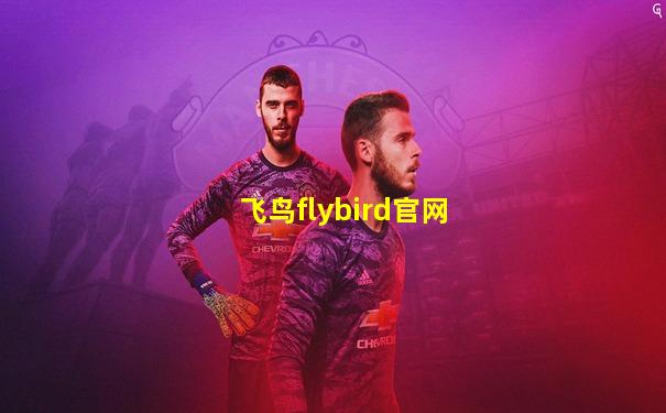 飞鸟flybird官网
