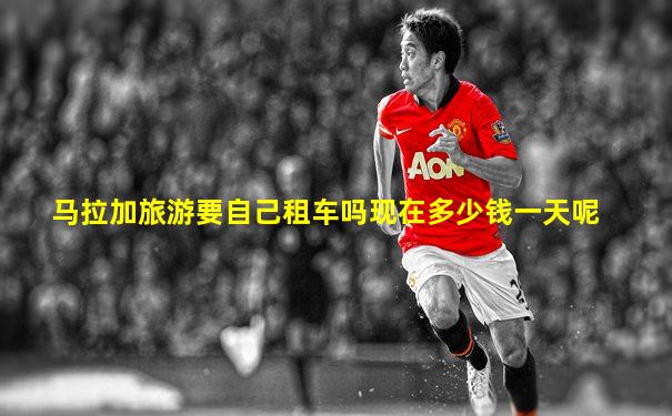 马拉加旅游要自己租车吗现在多少钱一天呢