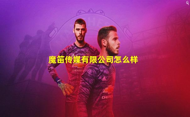 魔笛传媒有限公司怎么样