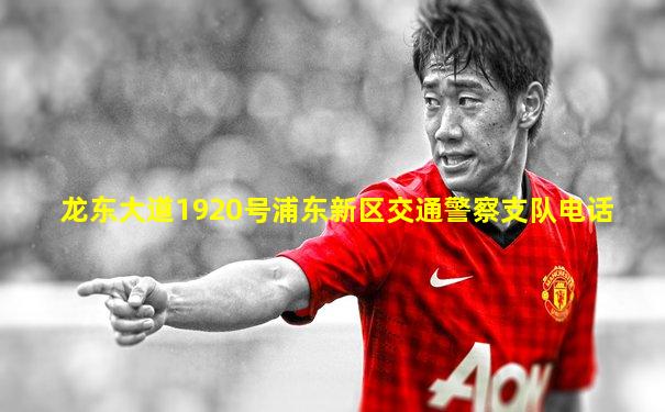 龙东大道1920号浦东新区交通警察支队电话